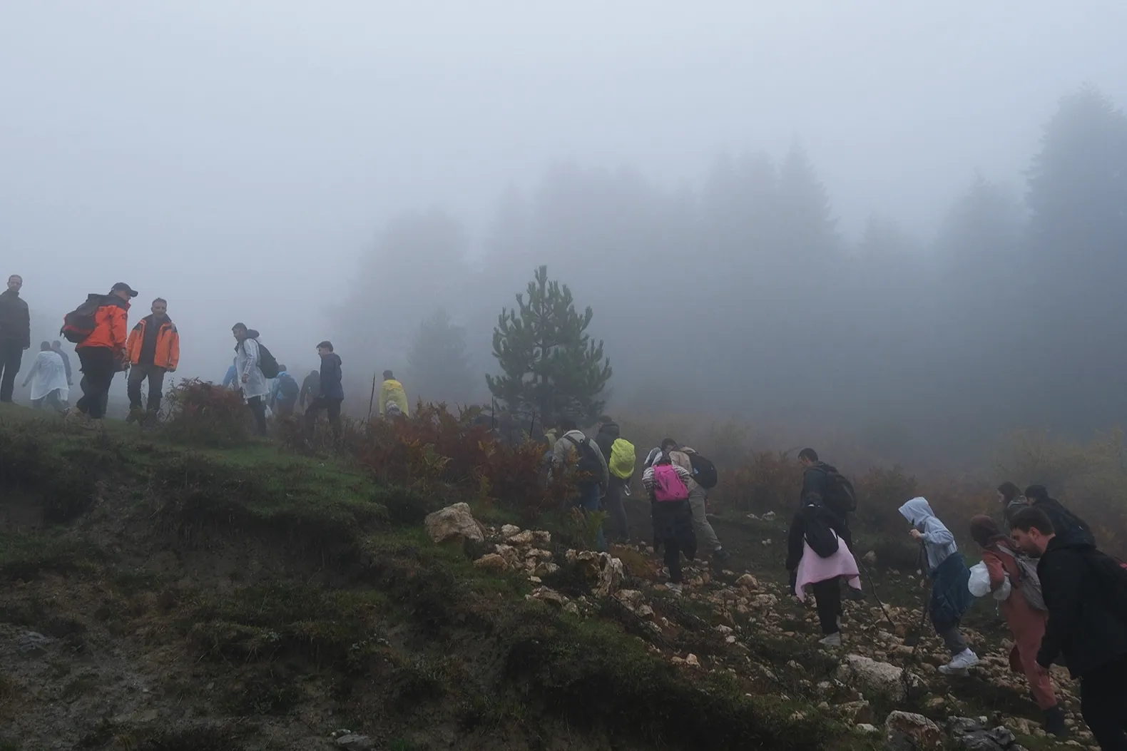 Sakarya