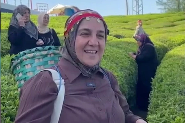 İçişleri