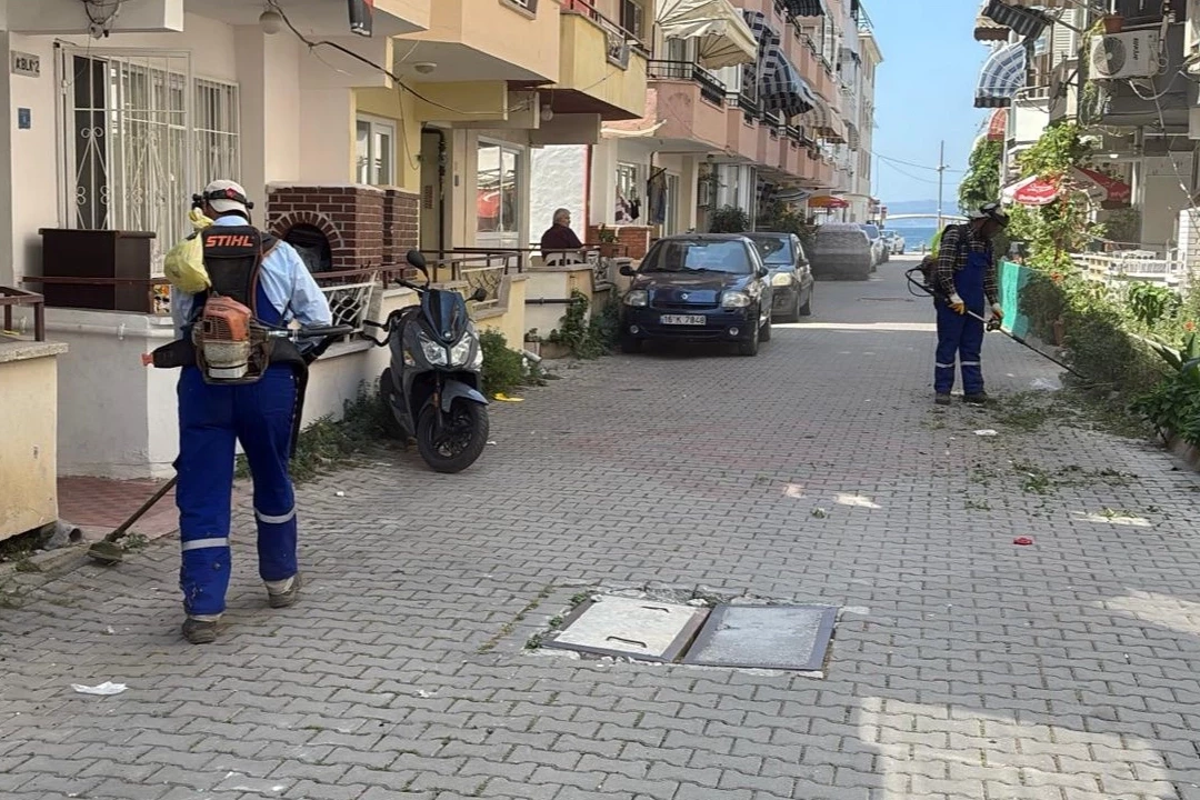 Bursa