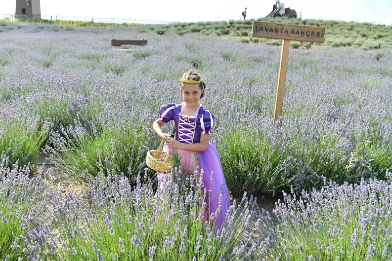 Ata Çiftiği